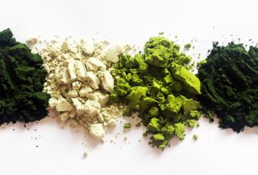 100% chlorella vulgaris: white, smooth, organic or conventional, how to find the right one?