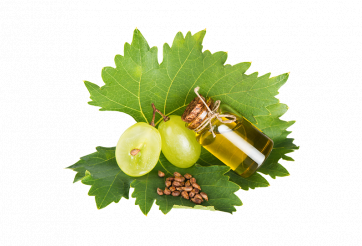 VINTERA™ - grape seed extract