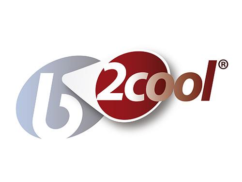 b-2Cool®: an exclusive ingredient for joint health