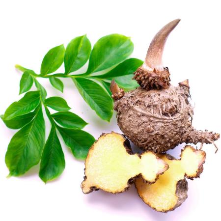 Konjac glucomannan