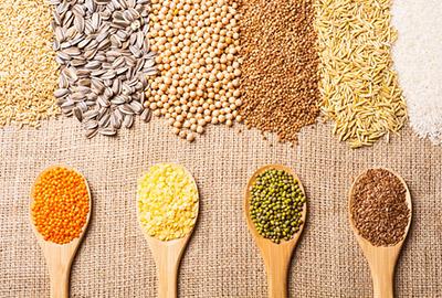 Conventional and organic plant-based proteins Conventional and organic plant-based proteins