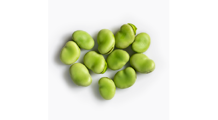 fava-bean