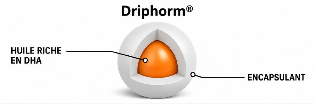 Driphorm microencapsulation Nu-Mega