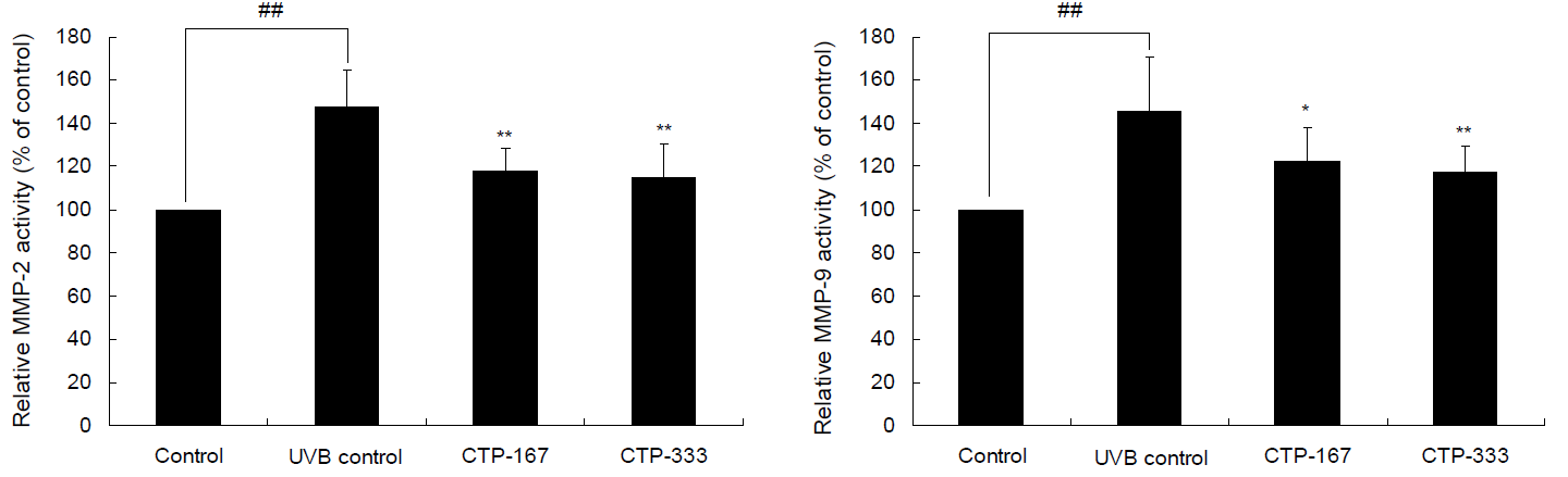 Effets de PeptiDerm15 sur l&rsquo;activit&eacute; d&rsquo;enzymes responsables de la d&eacute;gradation du collag&egrave;ne