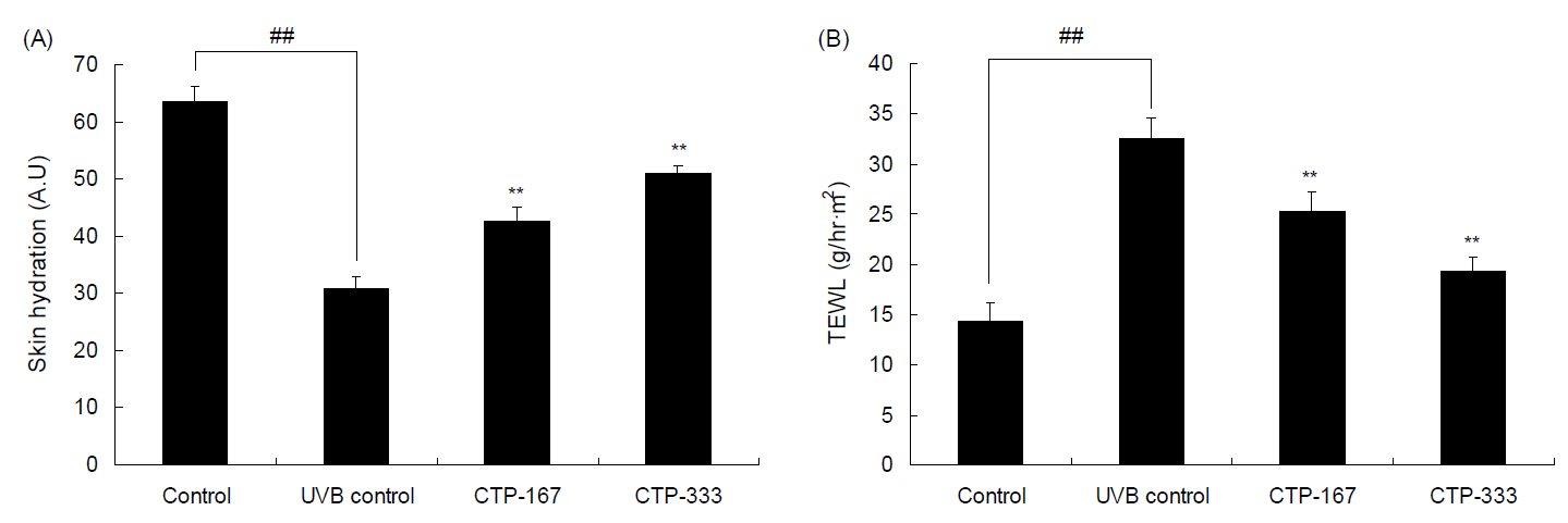 Effet de PeptiDerm15 sur l&rsquo;hydratation de la peau et la perte en eau trans&eacute;pidermique