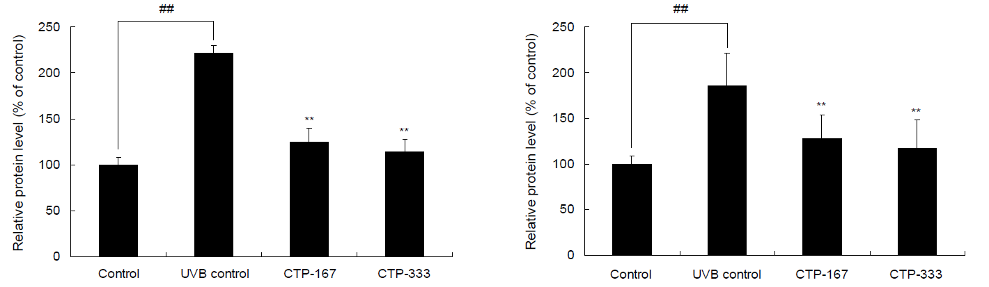 Effets de PeptiDerm15 sur les niveaux d&rsquo;enzymes responsables de la d&eacute;gradation du collag&egrave;ne