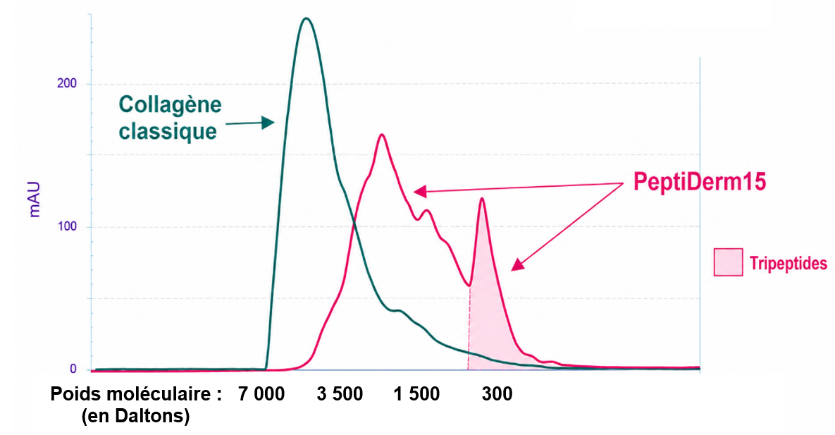 Comparaison des poids mol&eacute;culaires du PeptiDerm15 et d&rsquo;un collag&egrave;ne classique