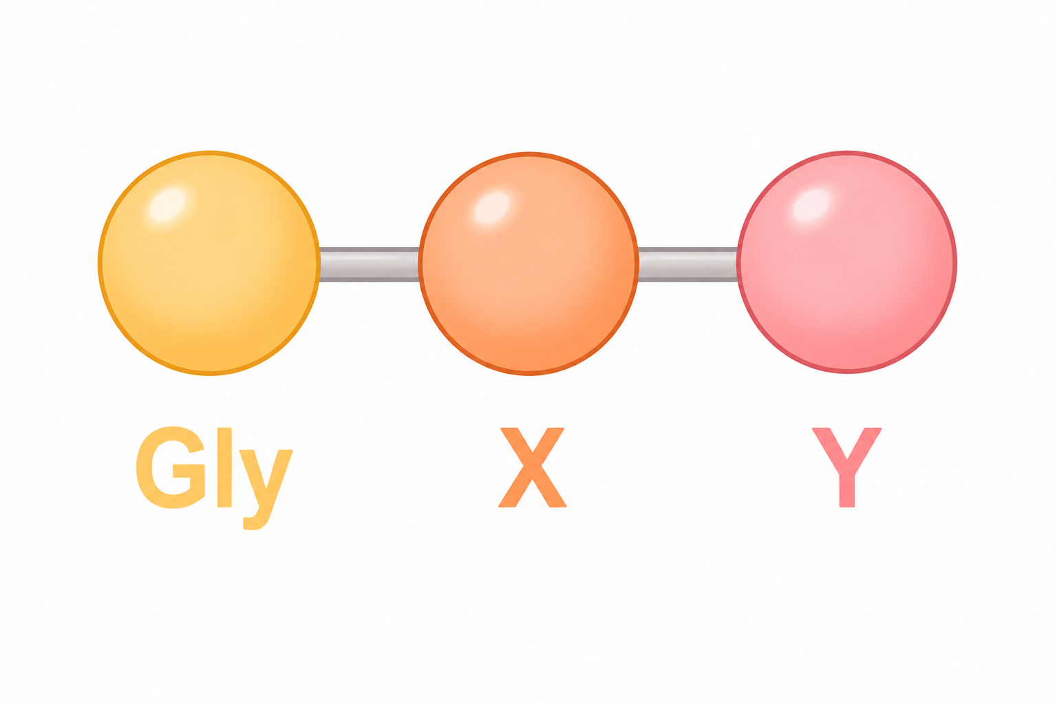Structure d’un tripeptide de collagène composé de trois acides aminés