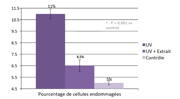 Anthocyan - graph épithéliale graphique santé yeux