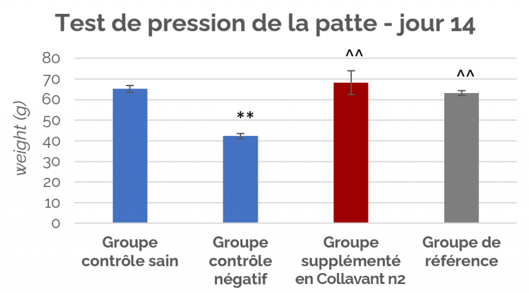 test de pression de la patte - jour 14