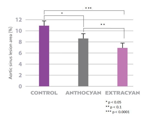 cardiohealth-extracyan-EN cardiohealth-graph