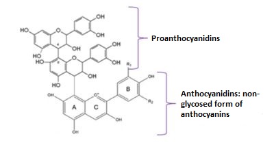 molecule- extracyan - EN molecule- extracyan