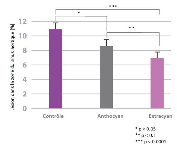 Santé cardiovasculaire sante-cardiovasculaire
