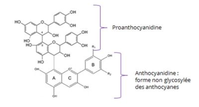 molecule- extracyan Extracyan molecule