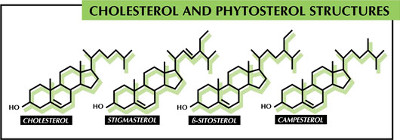 lipophytol-cholesterol-phytosterol-structures