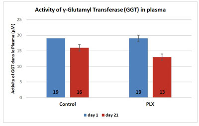 activity-GGT-plasma