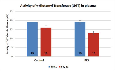 activity-GGT-plasma activity-GGT-plasma