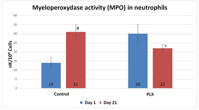 myeloperoxydase-activity-in-neutrophils