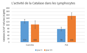 activite-catalase-lymphocytes