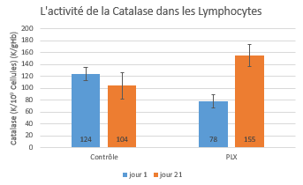activite-catalase-lymphocytes activite-catalase-lymphocytes