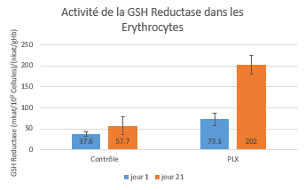 activite-GSH-reductase-erythrocytes