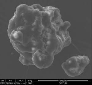 (b) Aprés microencapsulation ( NewCaff 60 )