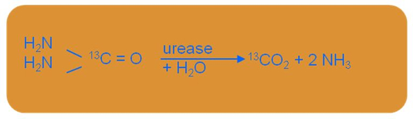 reaction-UBT